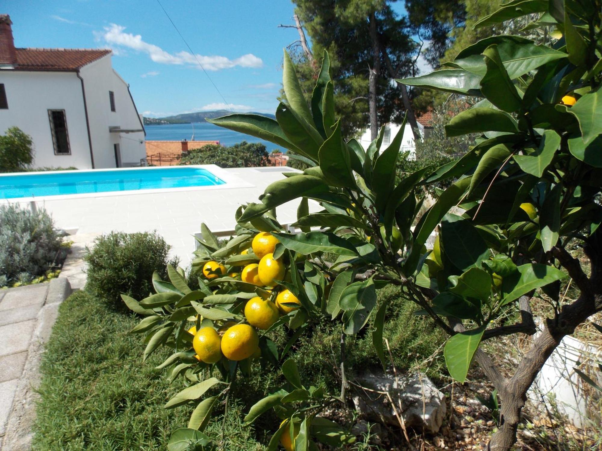 Apartments Villa Goja Trogir Ruang foto