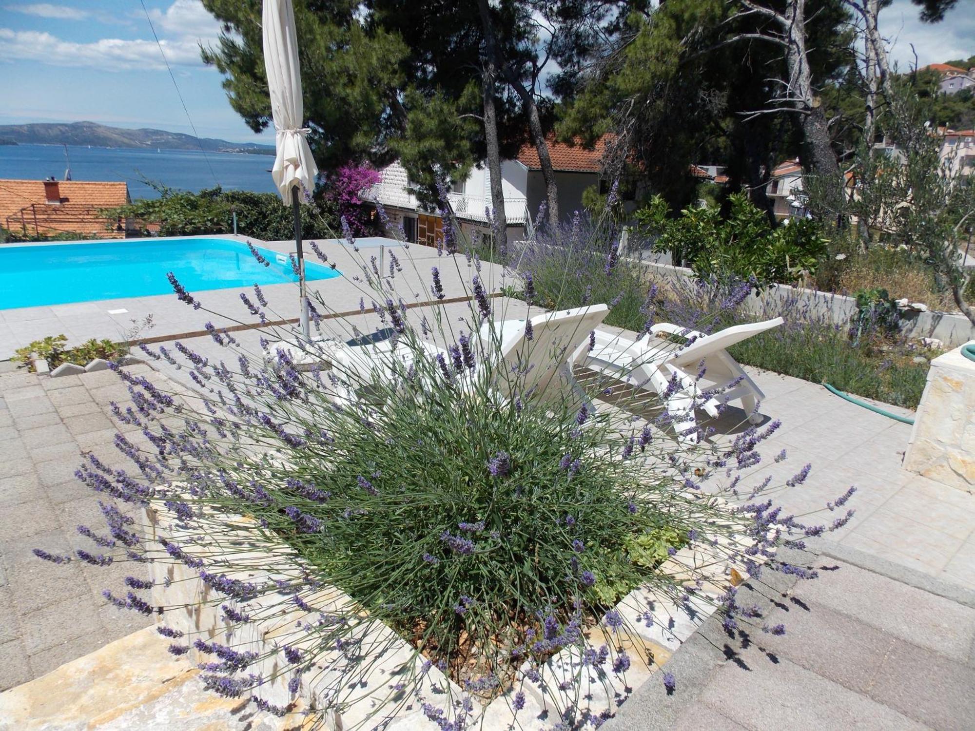 Apartments Villa Goja Trogir Ruang foto